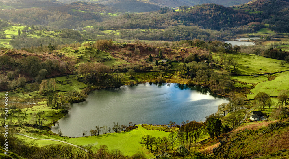 Loughrigg Tarn from Loughrigg Fell