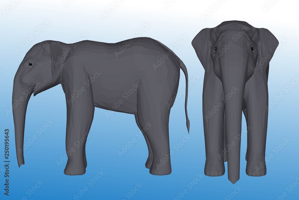 Obraz premium elephant isolated on white background