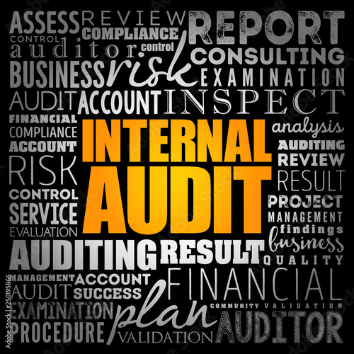 Internal Audit word cloud collage, business concept background