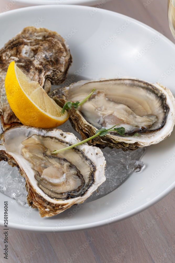 Plate with raw oysters and lemon slices on ice Plate with raw oysters and lemon slices on ice
