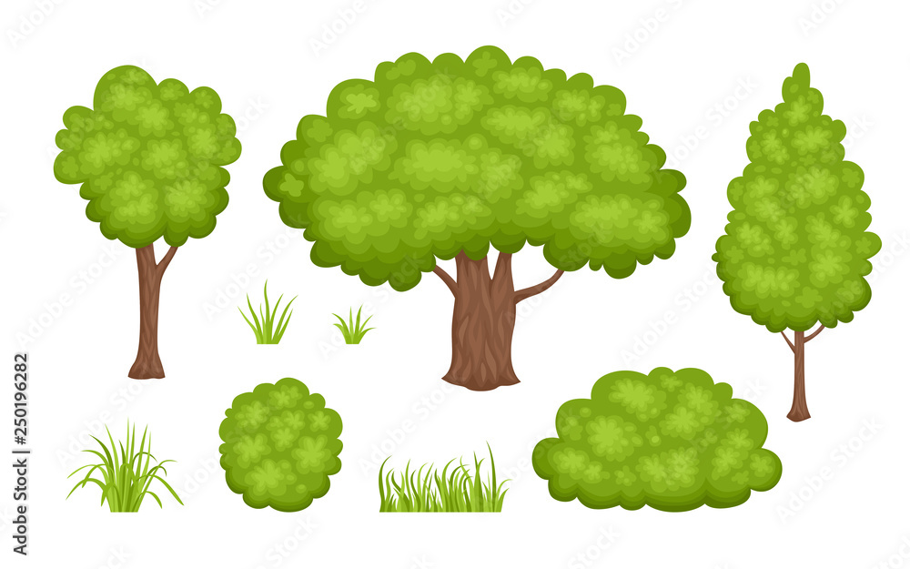 Set of park plants isolated on white background. Green trees, bushes