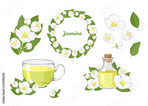 Jasmine set. Branch, wreath, tea and essential oil isolated on white background. Vector illustration of white jessamine flowers and green leaves in cartoon flat style.