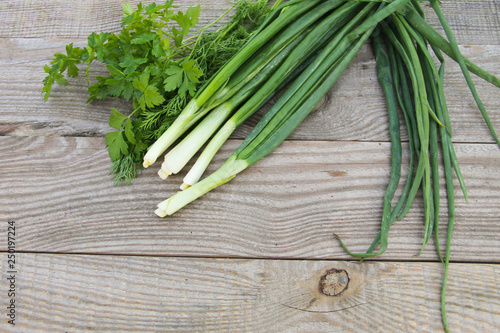 Fresh green onion  parsley and dill on rustic wooden table