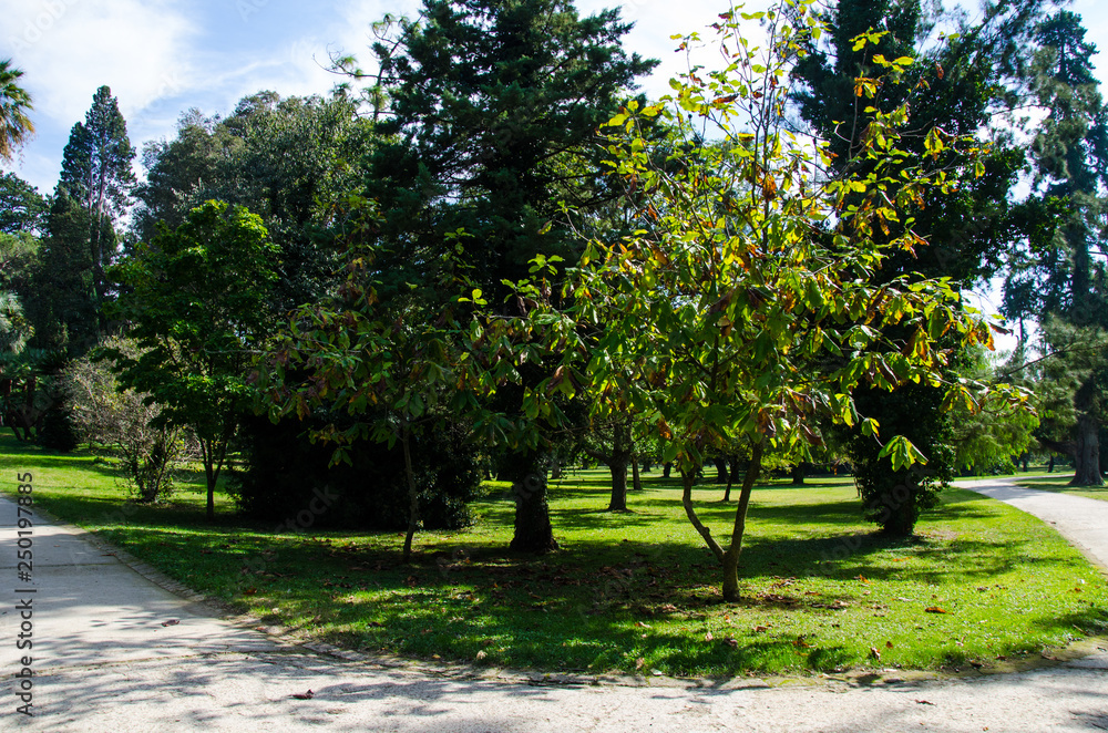 Reggia di Caserta - Giardini