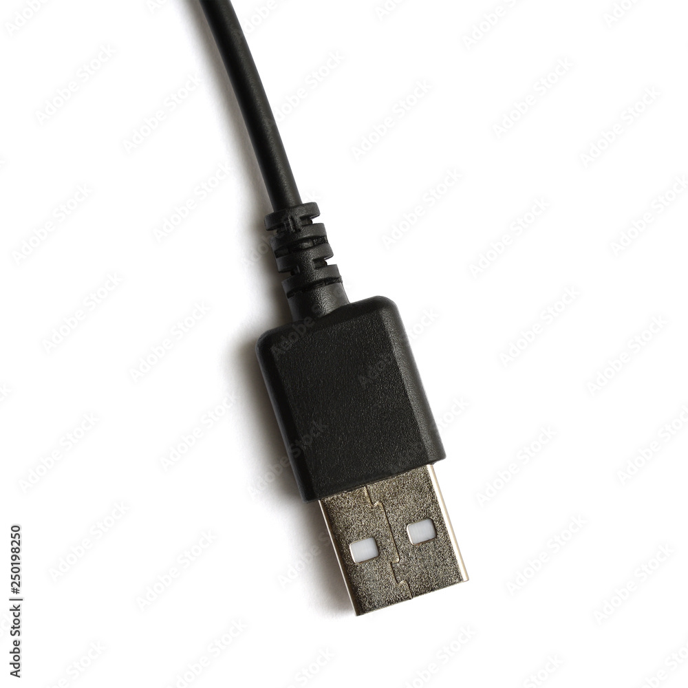 Obraz premium Black USB cable plug isolated on white background.