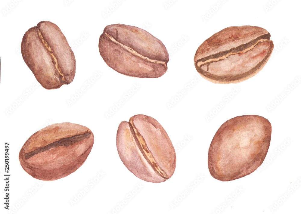 Coffee beans isolated on white background