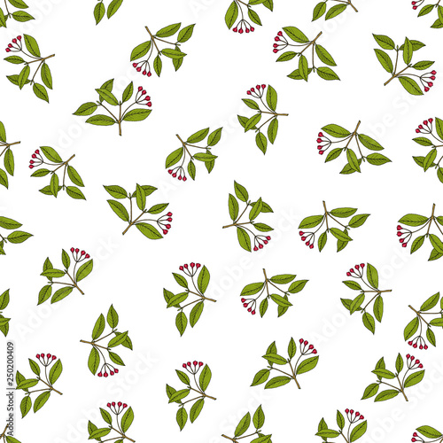 Seamless vector pattern with spindle tree branches