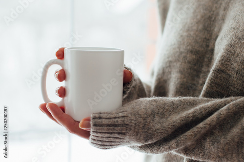 Close up of women's hands holding white mug with blank copy space scree for your advertising text message or promotional content, sweet coffee or tea. photo