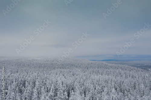 Aerial panorama of winter snowy landscape with forest, Kevakka mountain and lake, Paanajärvi, Karelia, Russia