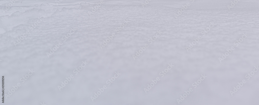 Obraz premium Snow background, freshly fallen snow