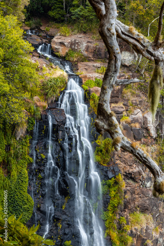 Morans Falls in Lamington National Park  QLD  Australia