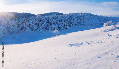 Winter landscape on a mountain top. Trees in the snow. Mountain peak, blue sky and winter sun.