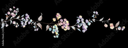 Fotografie, Obraz Colorful little chrysanthemum flower illustration