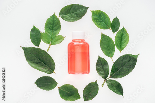 top view of circular composition with green leaves and bottle with orange lotion isolated on white
