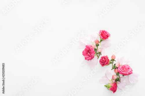 top view of composition with roses buds, berries and petals isolated on white