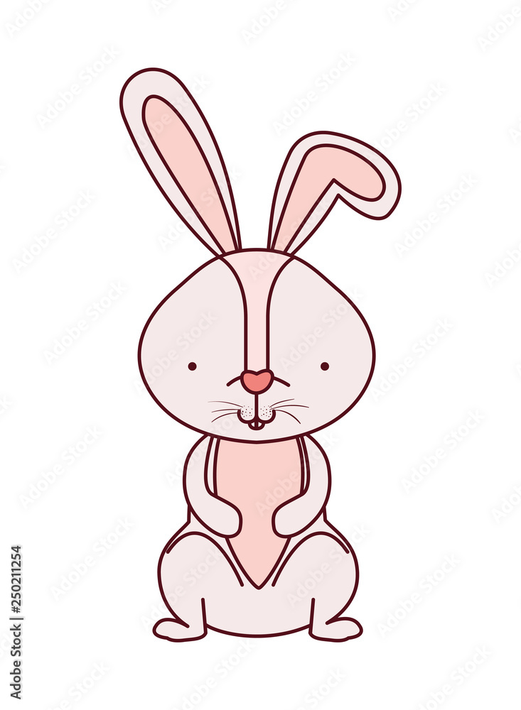 cute rabbit isolated icon cute rabbit isolated icon