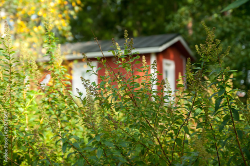 KOUVOLA, FINLAND - SEPTEMBER 20, 2018: Beautiful red old wooden house on the territory of Anjala manor. © Elena Noeva