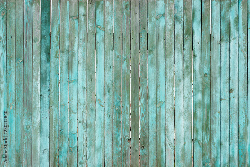 Wooden green background for design, banner and layout