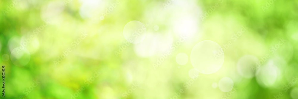 Fototapeta Streszczenie tło wiosna zielony