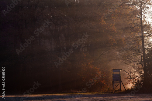 Ein Morgen im Herbst