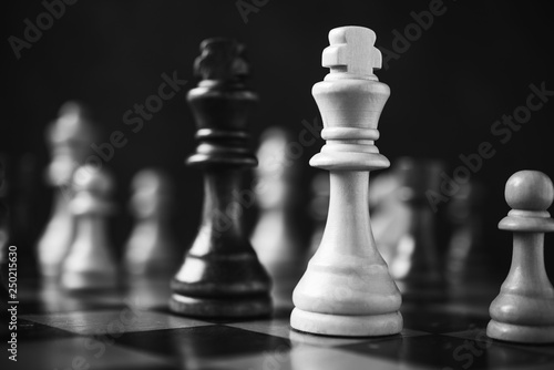 Focus on the chess king