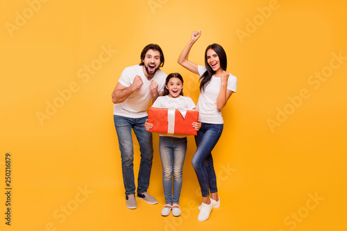 Full length body size view portrait of nice lovely charming attractive cheerful people holding in hands large big red bow ribbon box rejoice isolated over shine vivid pastel yellow background