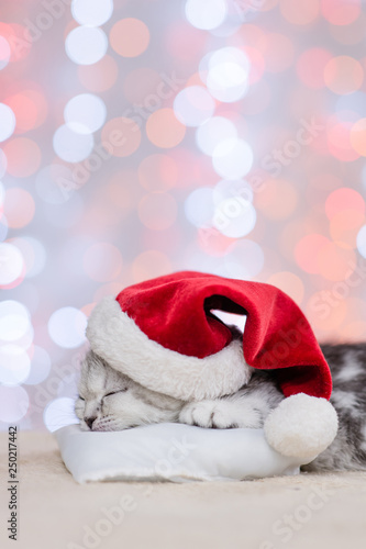 Baby kitten in red christmas hat sleep on pillow on festive background. Empty space for text