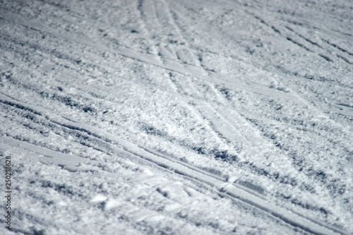 雪面の跡・そり © Kentaro Hayashi