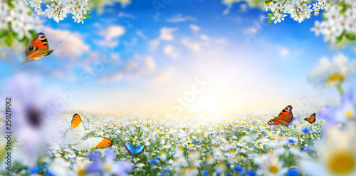 Canvas Print Dreamland fantasy spring landscape with flowers and butterflies