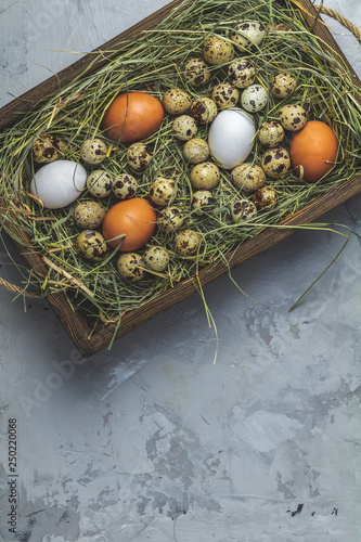 Quail and chicken eggs on the hay in wooden box