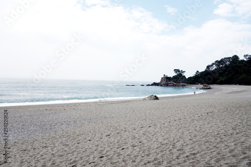 高知県の桂浜