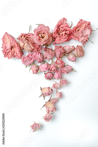 Dried flower still life with rose flowers