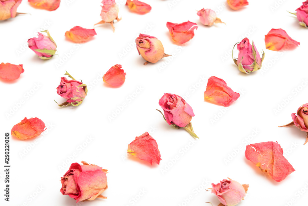 Rose flower still life arranged in pattern on white background Rose flower still life arranged in pattern on white background