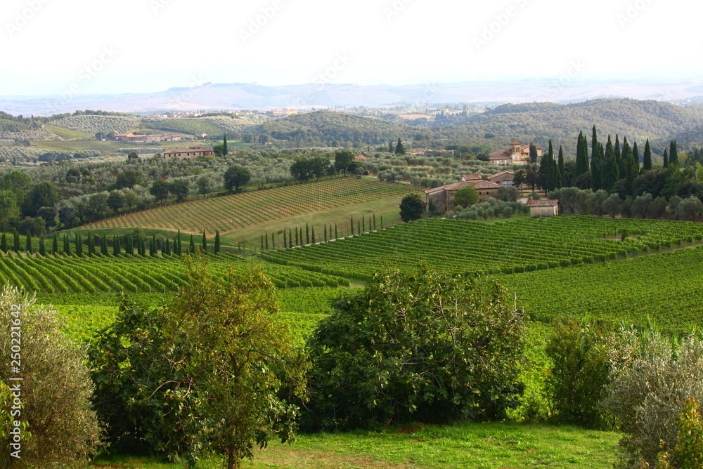 Obraz premium Toscana Landschaft