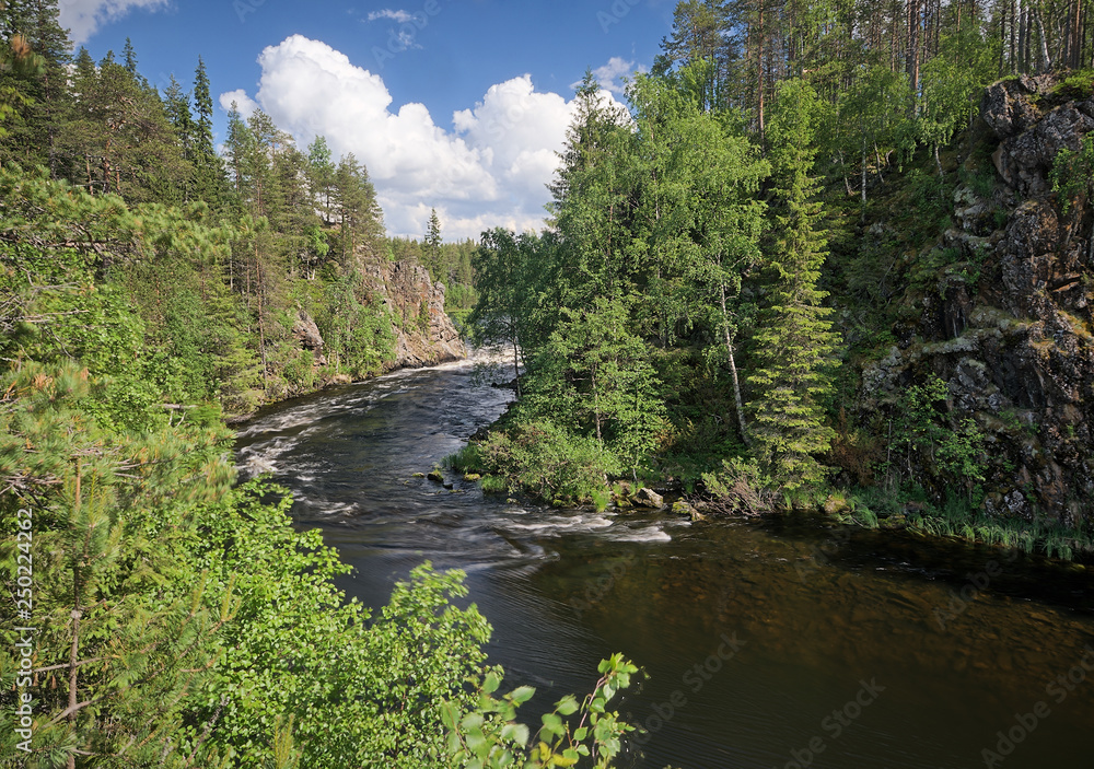 Oulanka river and the fast-moving rapids at the Oulanka National Park in Kuusamo, Finland. Green forest framing the flowing water. Finnish nature on a beautiful, sunny summer day perfect for hiking.