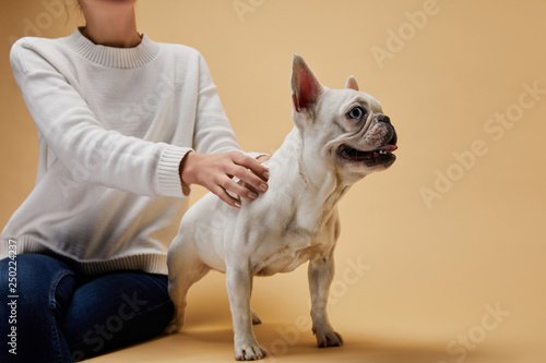 фотографія cropped view of woman caressing french bulldog on beige background