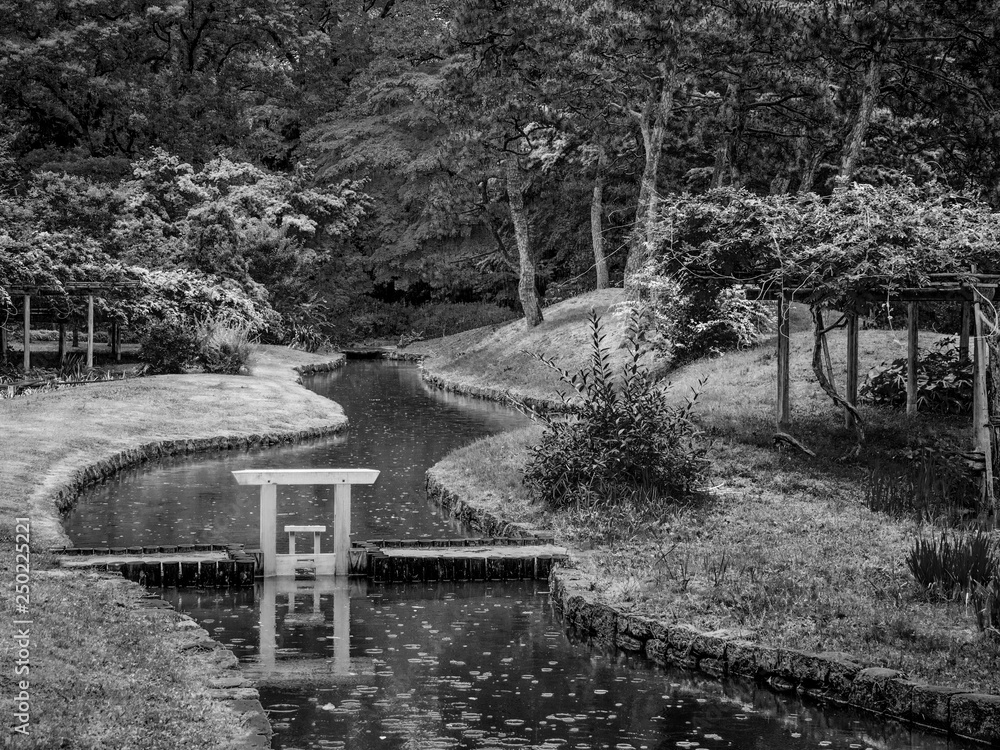 Fototapeta premium Japanese Garden in Korakuen Tokyo