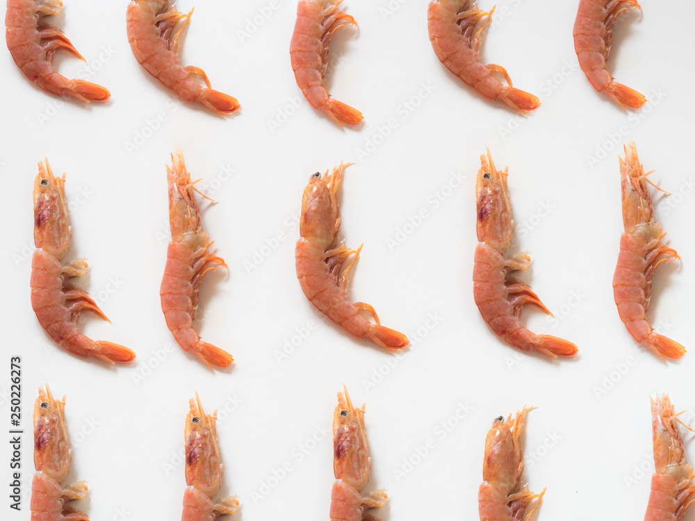 Prawn pattern on white background Prawn pattern on white background