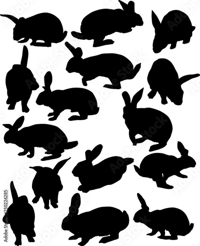 fifteen rabbit silhouettes collection isolated on white