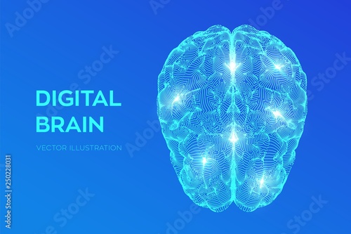 Brain. Digital brain. 3D Science and Technology concept. Neural network. IQ testing, artificial intelligence virtual emulation science technology. Brainstorm think idea. Vector illustration.