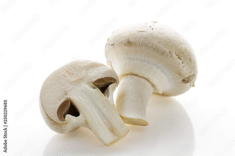 White champignon mushrooms on a white background White champignon mushrooms on a white background