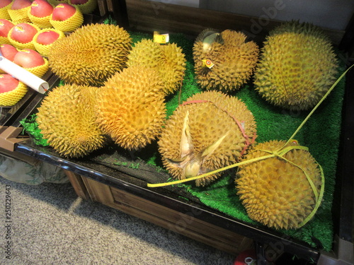 Jack fruit, China
