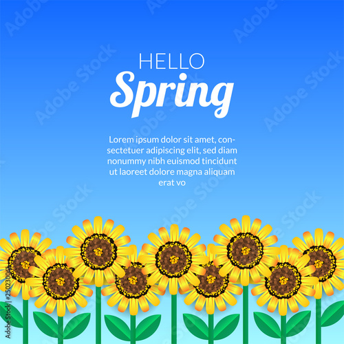 Fototapeta Naklejka Na Ścianę i Meble -  Hello Spring banner template with beauty sunflower blossom