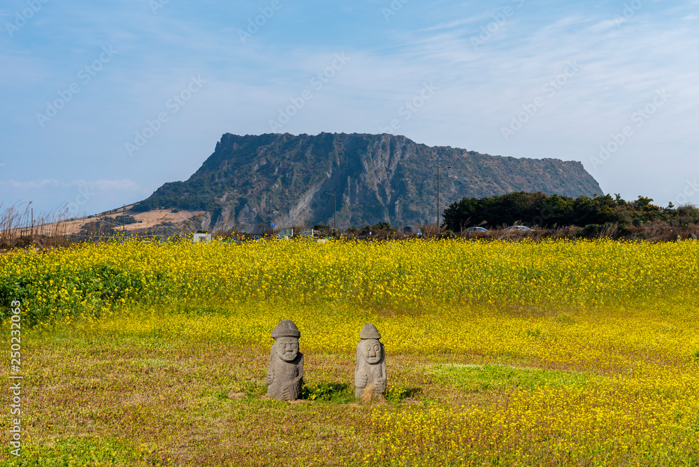 Seongsan ilchulbong in Jeju island,South Korea.