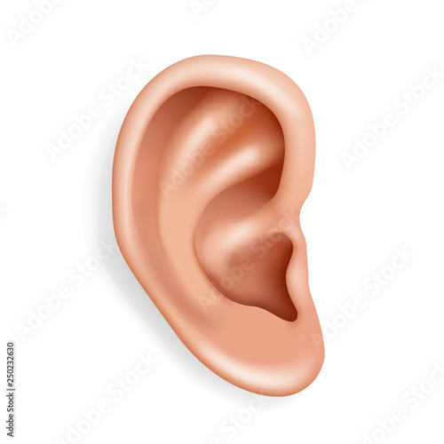 Human ear organ hearing health care closeup realistic 3d isolated icon design vector illustration