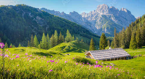 Idyllic alpine scenery with mountain chalets in summer
