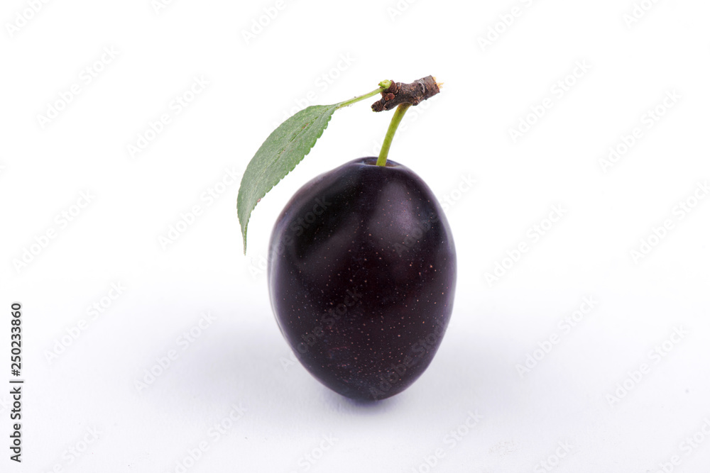  plum close-up. sweet plum