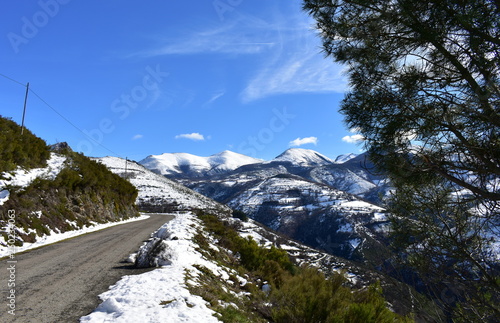 Winter landscape with snowy mountains, road and pine tree with blue sky. Ancares Region, Lugo Province, Spain.