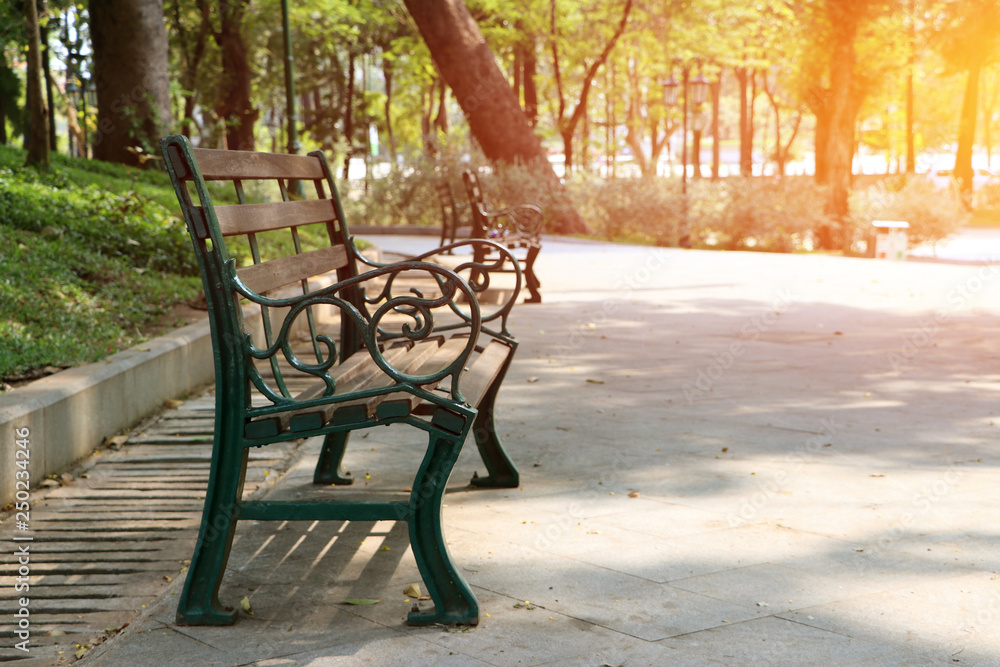 the Wooden Long bench in the park. the Wooden Long bench in the park.