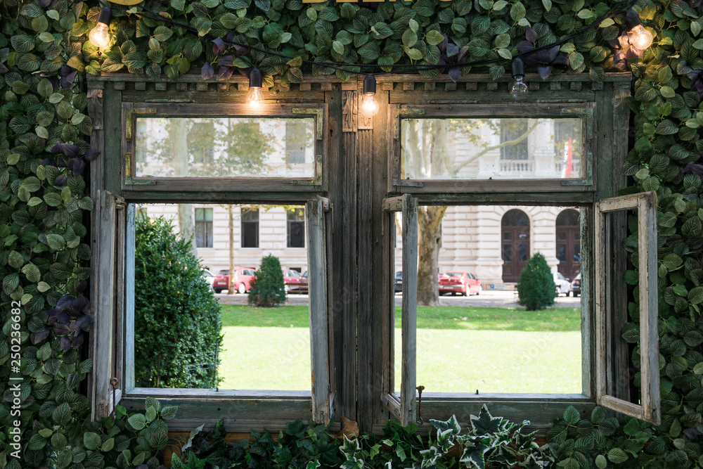 wooden framed window with lights and green plants wooden framed window with lights and green plants